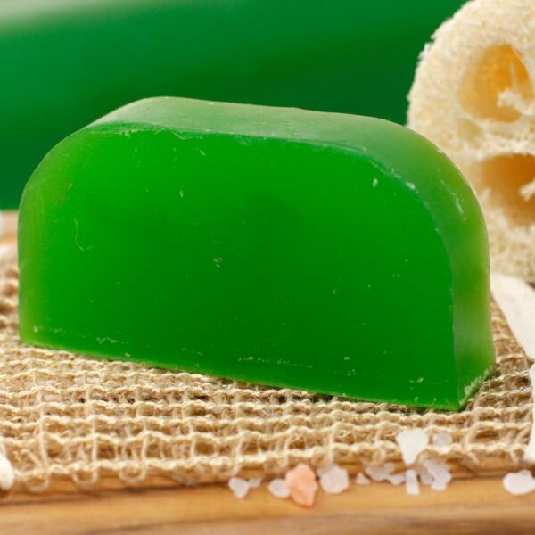 Argan Oil Solid Shampoo Bar - Eucalyptus