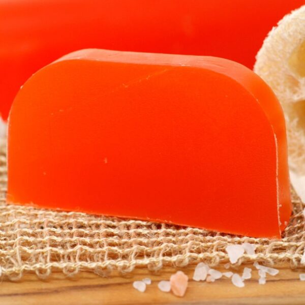 Argan Oil Solid Shampoo Bar - Sage & Juniper