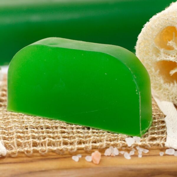 Argan Oil Solid Shampoo Bar - Thyme & Mint