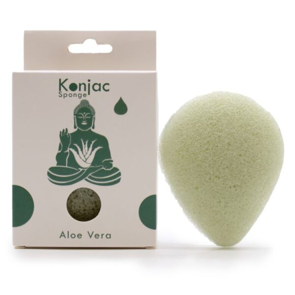 Aloe Vera Teardrop Konjac Sponge - Healing